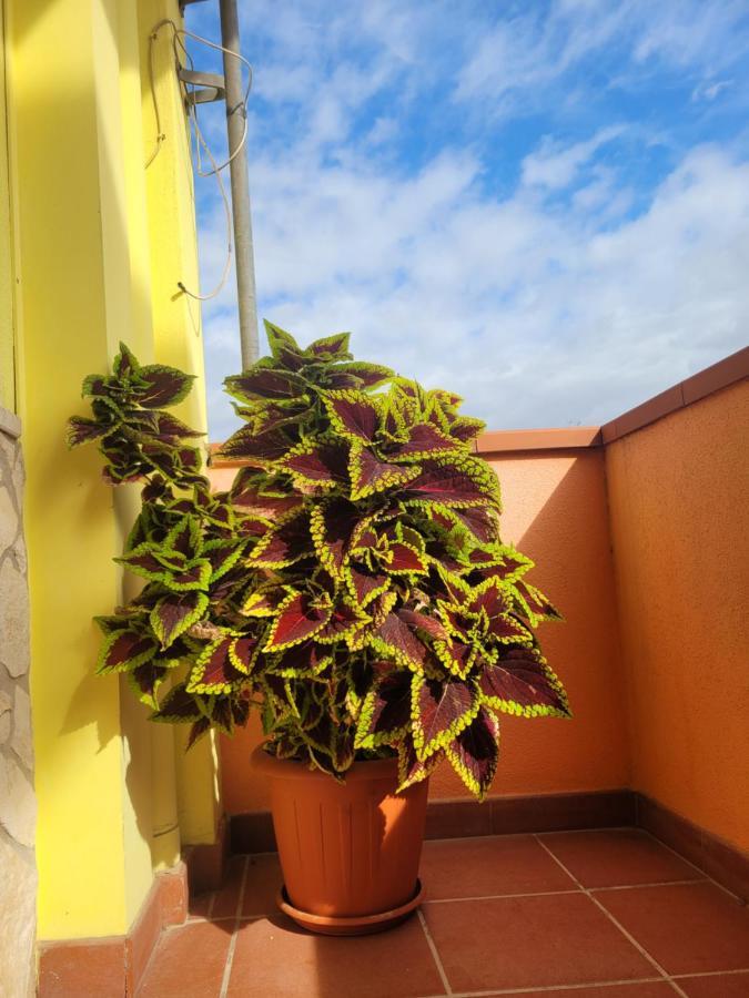 Butterflyhouse Monserrato Exterior foto